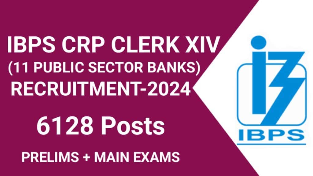 IBPS CRP Clerk XIV Recruitment 2024