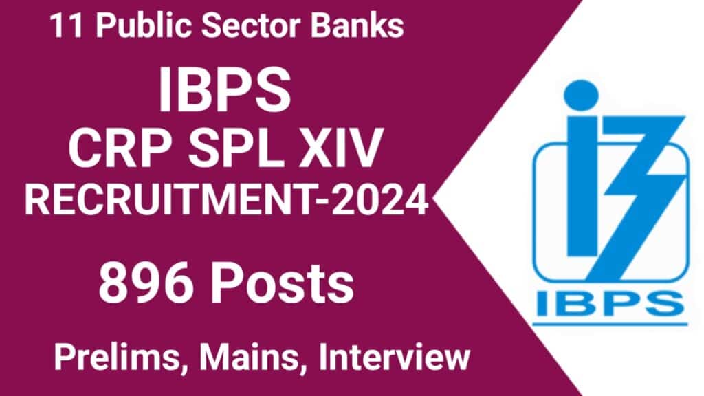 IBPS CRP Specialist Officer XIV Recruitment 2024: Apply for 896 Posts